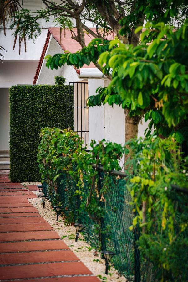 Newly Renovated ! Villa Laguna 坎昆 外观 照片